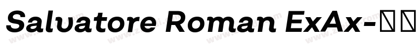Salvatore Roman ExAx字体转换